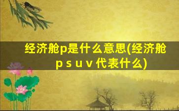 经济舱p是什么意思(经济舱p s u v 代表什么)